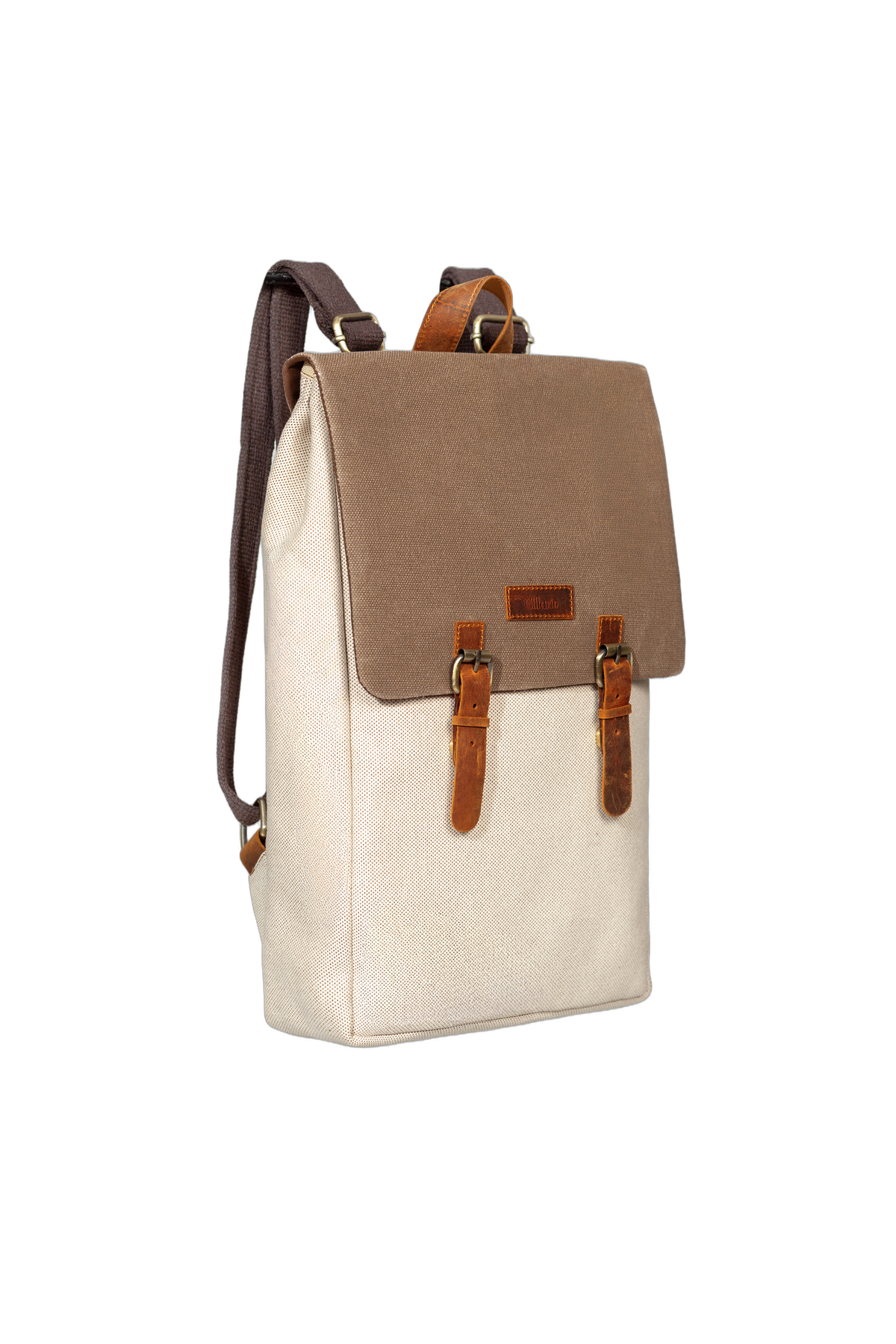Gillario DESIGN02 15.6 Inch Bej Kanvas (Vizon Kapak) Laptop Sırt Çantası - Görünüm 2